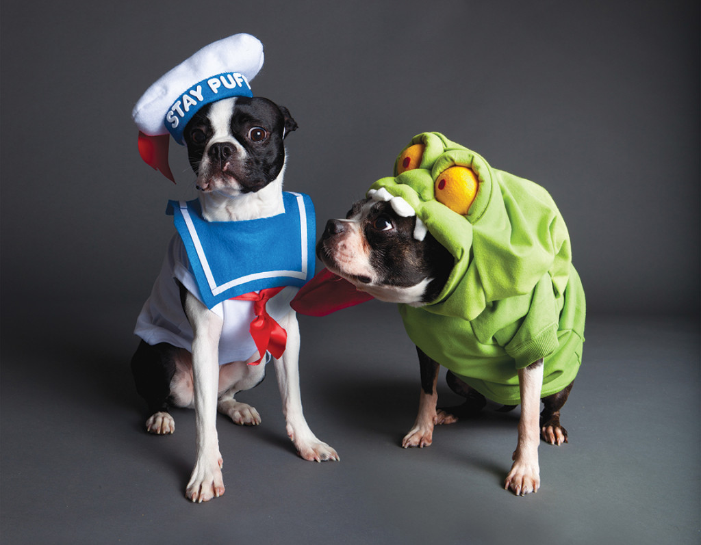 Ghostbuster-Dogs