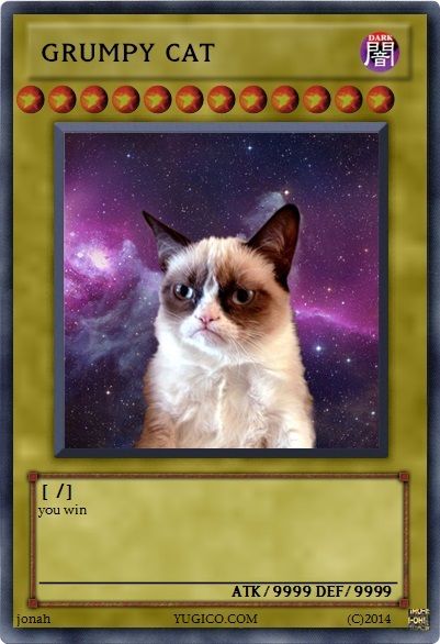 13_grumpy-cat