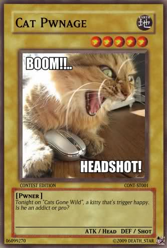 6_cat-pwbage