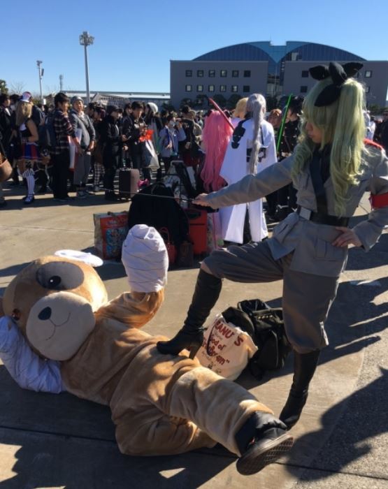 bear