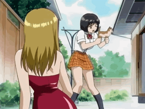 anime-8b