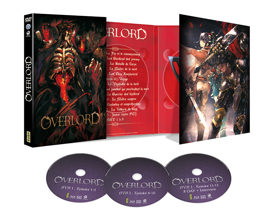 3D-OverLord-DVD-Ouverte