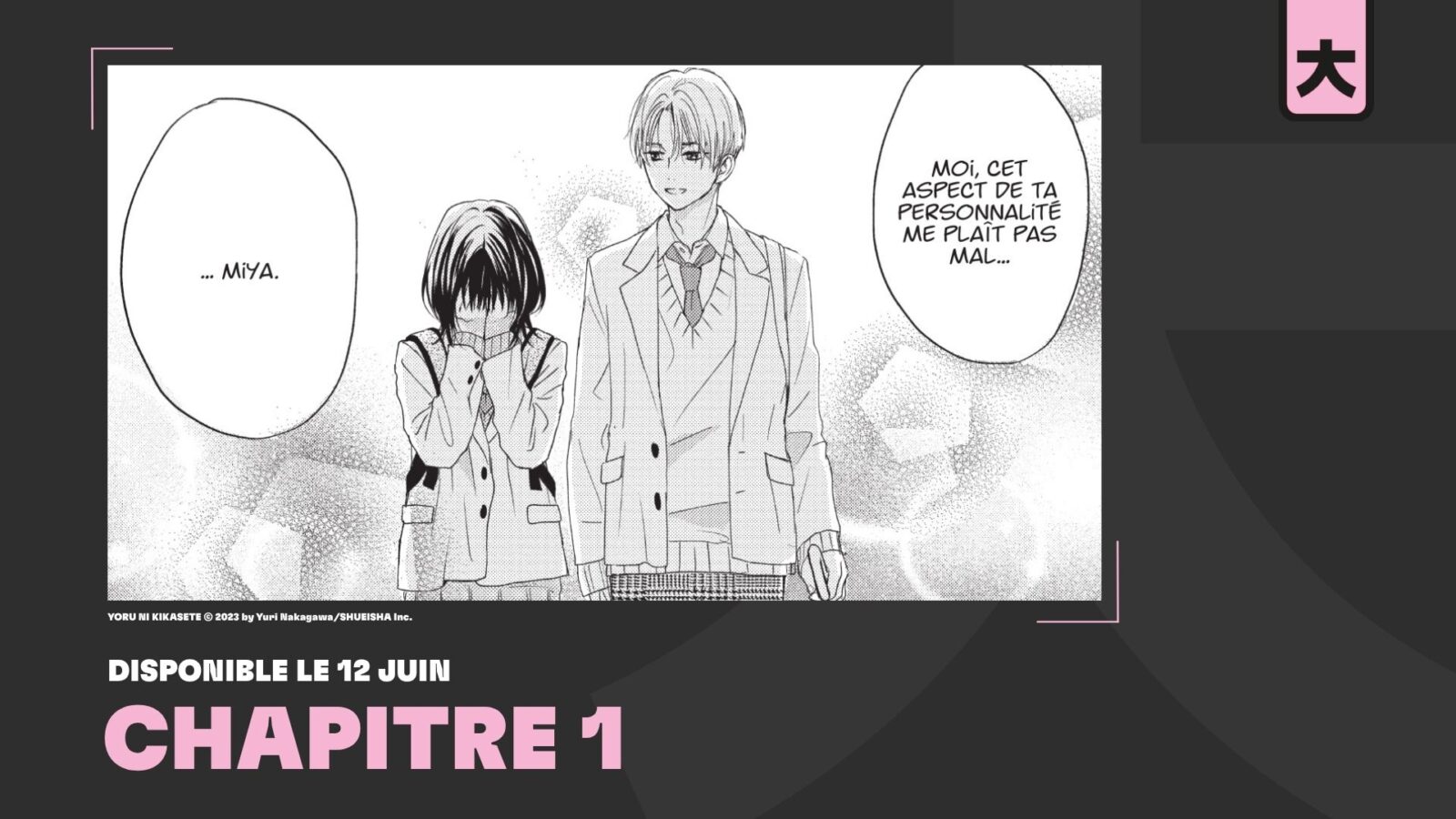 Chapitre 1 YNK Bannière